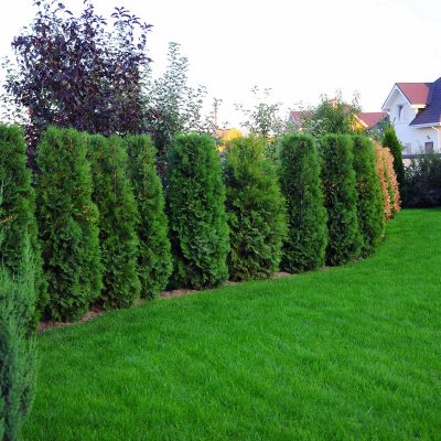 Entretien de jardins et des espaces verts